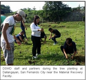 tree planting_ndcm