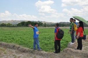 DSWD-FO1 and San Roque Power Corporation (SRPC) representatives headed by Ms. Agnes Tambalo and Mr. Arnel Manalili respectively visited a beneficiaries' vegetable farm whom the Corporation has lent an amount to start farming activities. 