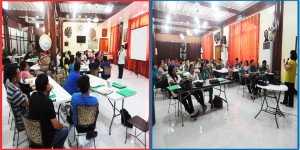 Sessions 1 and 2 Training of Trainers with DSWD ARDO Marlene Febes Peralta and Listahanan Focal Person Anniely J. Ferrer